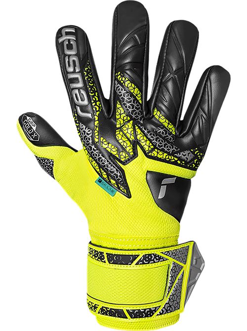 attrakt gold REUSCH | 5570955X