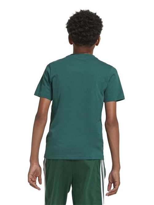 u bl tee ADIDAS | IX9569CGREEN/WHITE