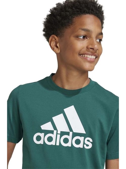 u bl tee ADIDAS | IX9569CGREEN/WHITE